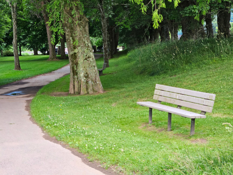 Bench, tree, and path on Greenway